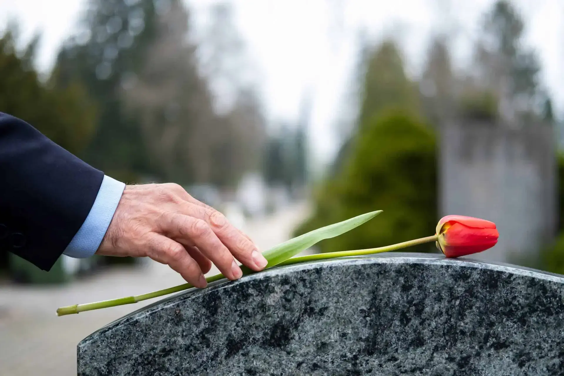 A man places a red rose on top of a grave after a funeral for a victim in a wrongful death case.